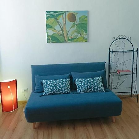 Pane E Tulipani, Cozy Apartment Near City Center Turin Luaran gambar