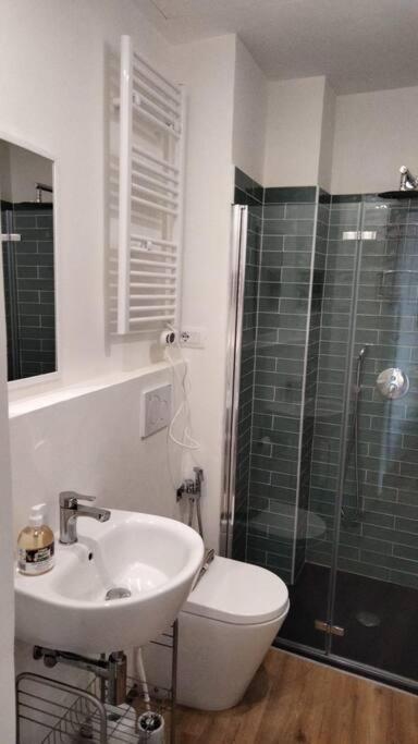 Pane E Tulipani, Cozy Apartment Near City Center Turin Luaran gambar
