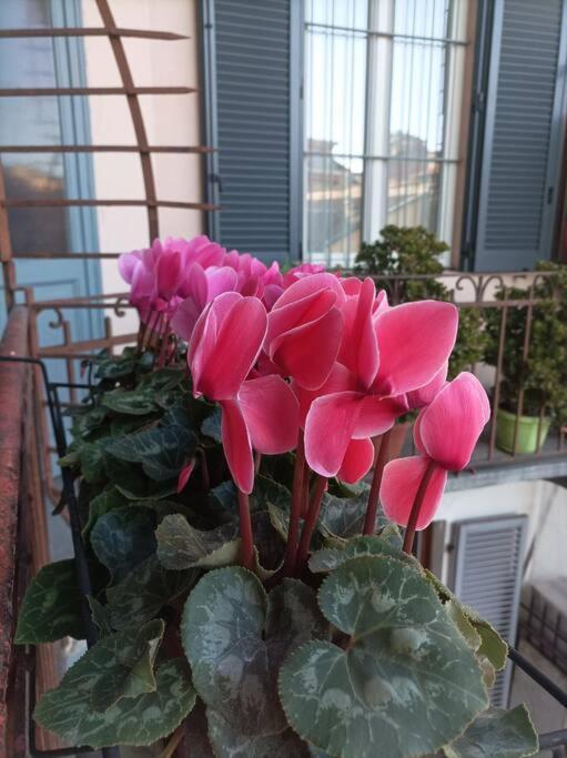 Pane E Tulipani, Cozy Apartment Near City Center Turin Luaran gambar
